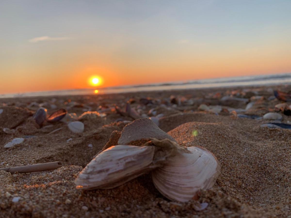 Appartamento Studio hyper-centre Cabourg 50 mètres de la plage Esterno foto