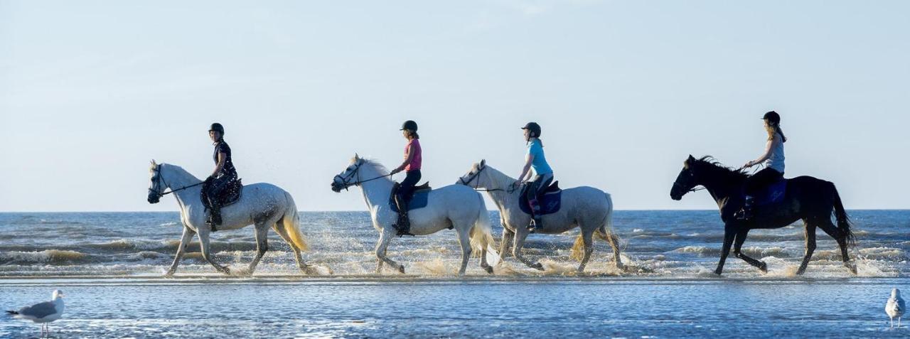Appartamento Studio hyper-centre Cabourg 50 mètres de la plage Esterno foto